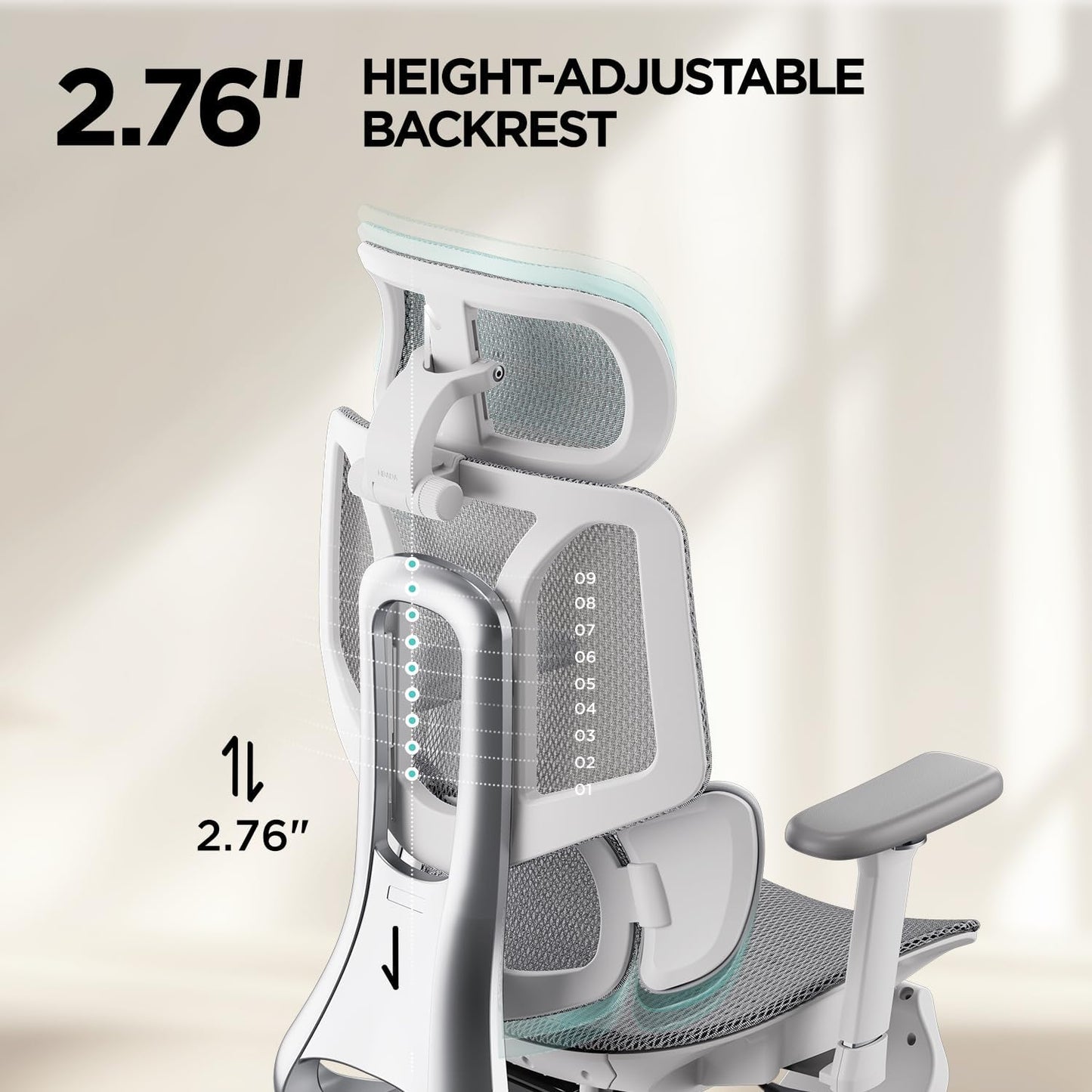 Ergonomic Office Chair Hbada E3 Pro
