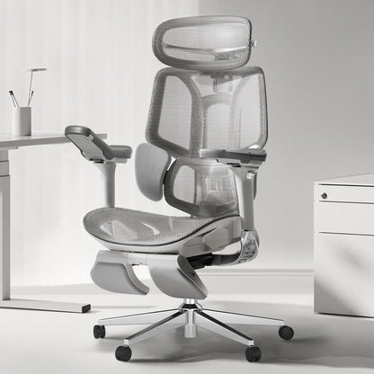 Ergonomic Office Chair Hbada E3 Pro