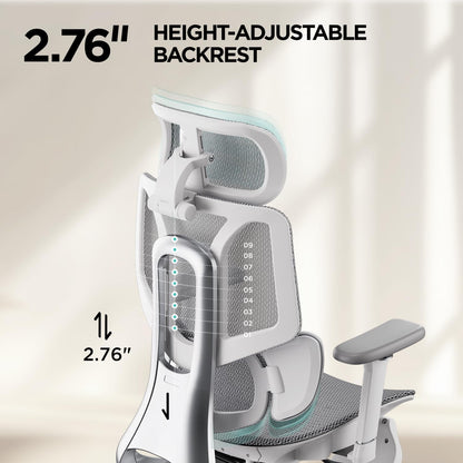 Ergonomic Office Chair Hbada E3 Pro