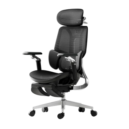 Ergonomic Office Chair Hbada E3 Pro